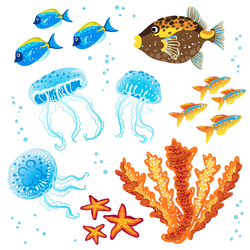 热带鱼类和珊瑚矢量插画