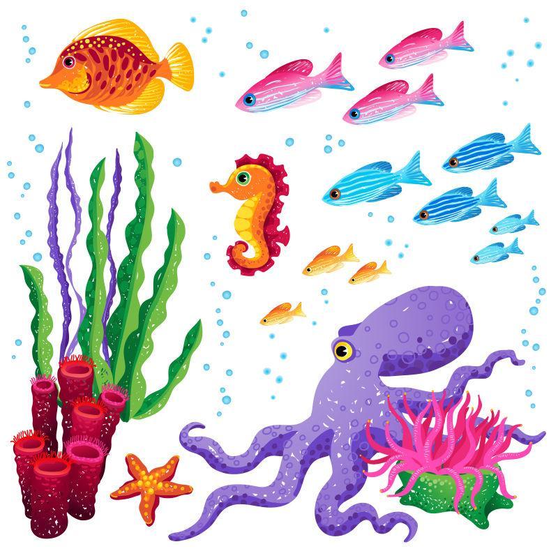 种类丰富的海洋动物矢量插画